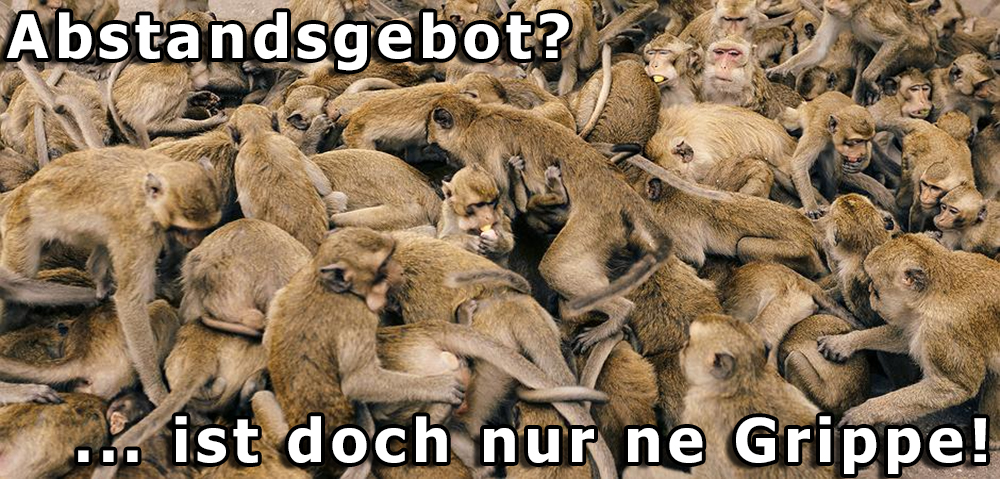 Demonstration der Affen