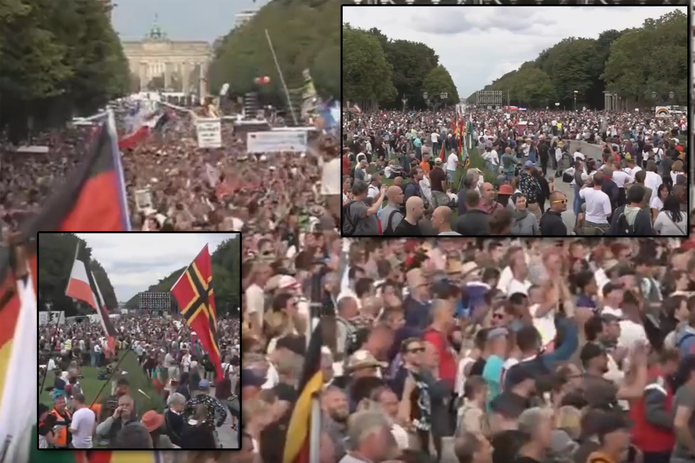The Crowd