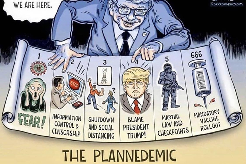 Plandemie oder Panik-demie?