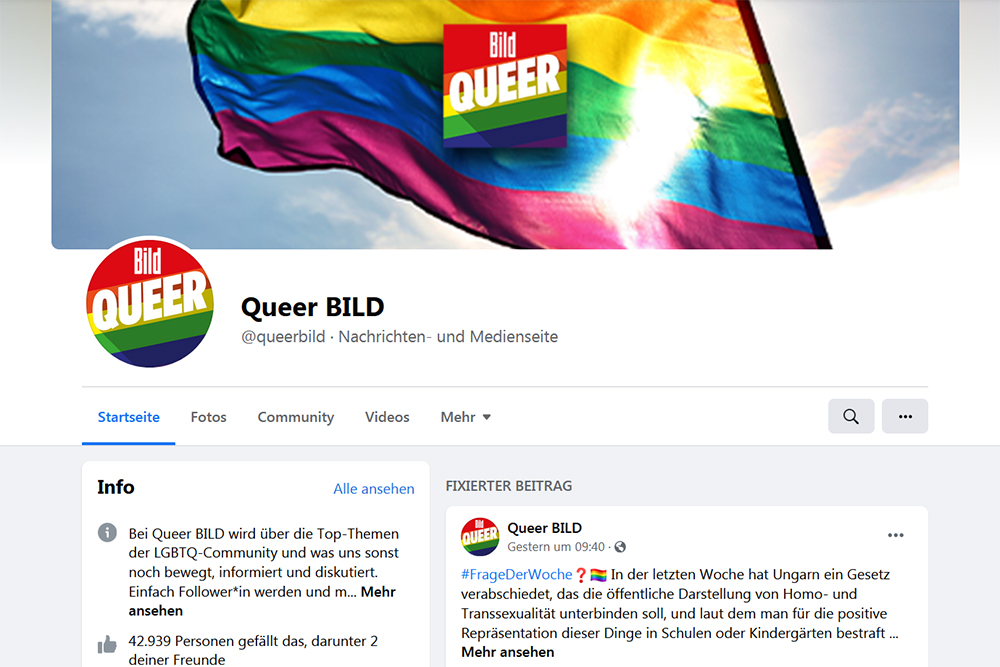 Springher Queer Bild Pinkwashing