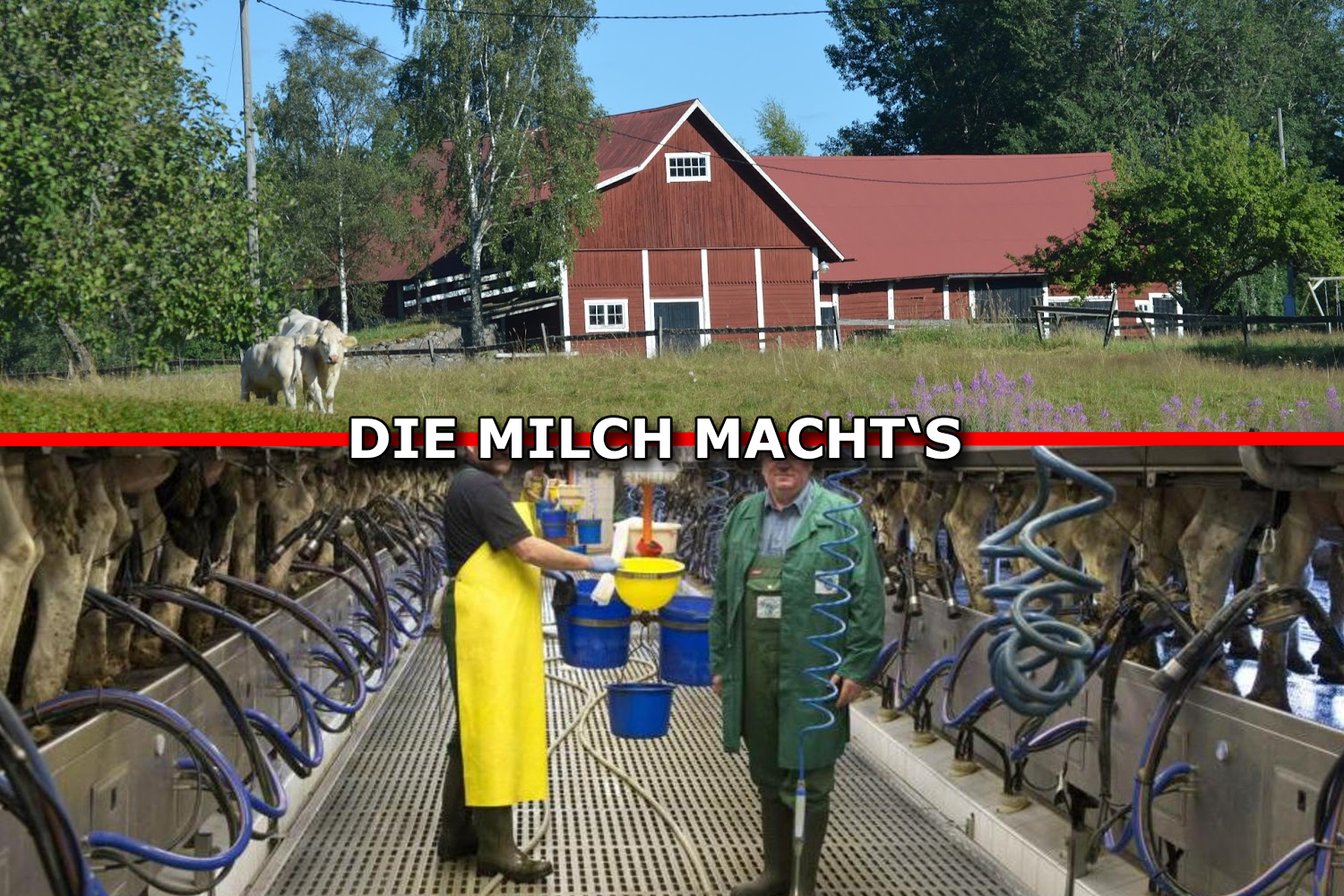 Bauernhofidylle und Realität